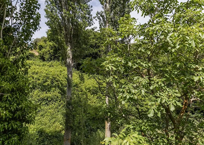 Appartement Serenity Village *