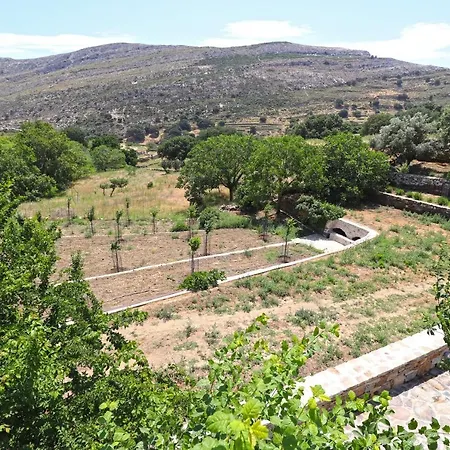 Daire Serenity Village
