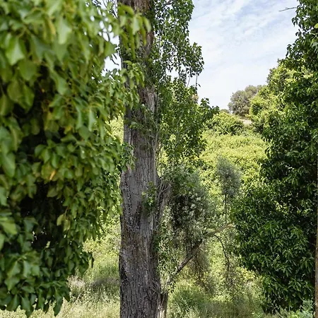 Serenity Village Apartamento *