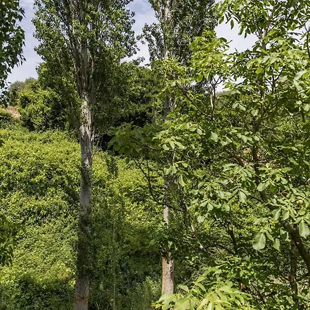 Apartamento Serenity Village *