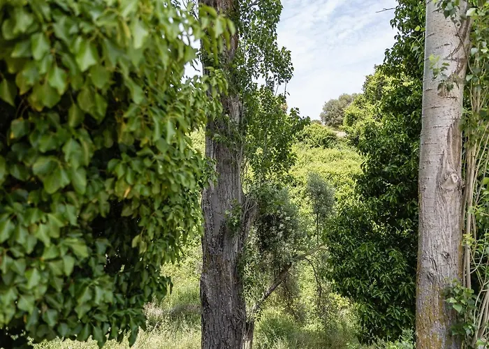 Serenity Village Apartamento *